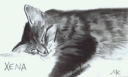 Xena in charcoal